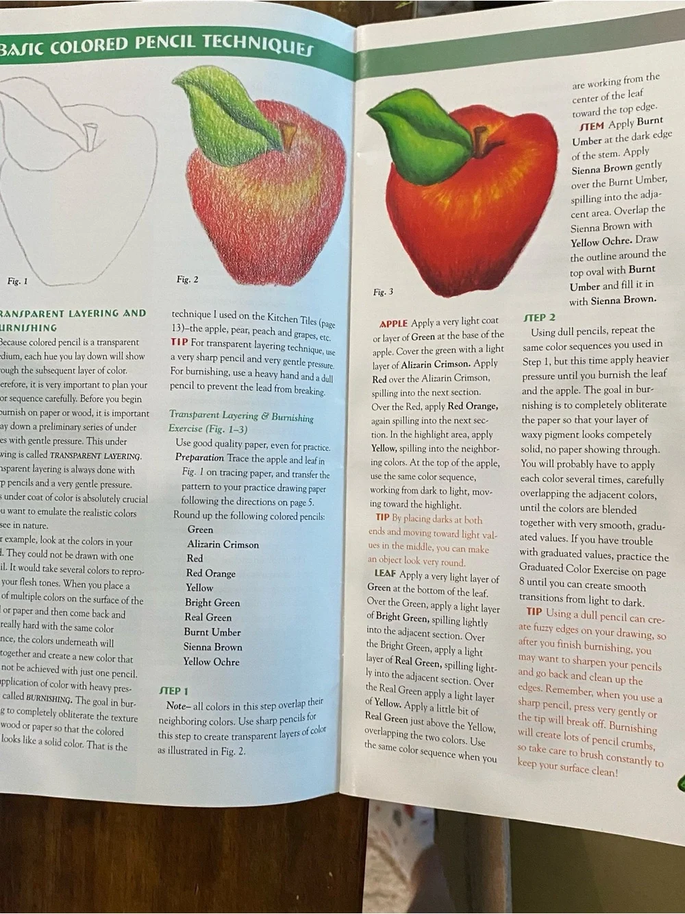 Colored Pencils on Wood Book 1 by Sandra Angelo - Multicolor